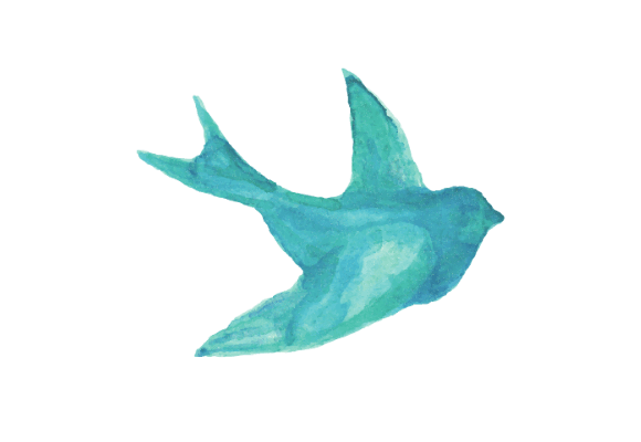 Drawing of a teal bird in flight facing right on white background.